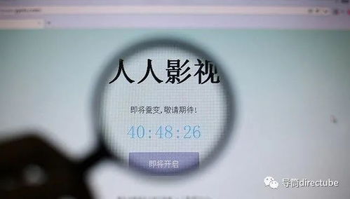 告別豬豬字幕組 整改、刪除與關閉背后的行業變革